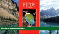 Buy NOW  Photographic Guide to the Birds of Borneo  Premium Ebooks Online Ebooks