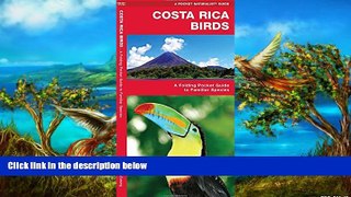 Big Sales  Costa Rica Birds: A Folding Pocket Guide to Familiar Species (Pocket Naturalist Guide