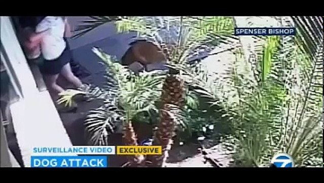 Valiente madre salva a su hijo del ataque de feroces perros