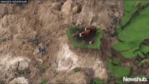 Séisme en Nouvelle-Zélande : trois vaches survivent grâce à un îlot de terre