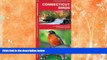 Big Sales  Connecticut Birds: A Folding Pocket Guide to Familiar Species (Pocket Naturalist Guide