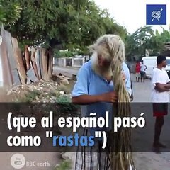 ¿Sabes de dónde vienen las rastas?