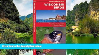 Deals in Books  Wisconsin Birds: A Folding Pocket Guide to Familiar Species (Pocket Naturalist