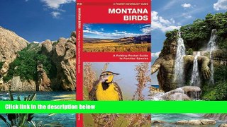 Deals in Books  Montana Birds: A Folding Pocket Guide to Familiar Species (Pocket Naturalist Guide