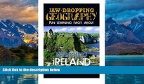 Big Deals  Jaw-Dropping Geography: Fun Learning Facts About INTRIGUING IRELAND: Illustrated Fun