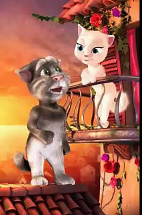cats funny chat