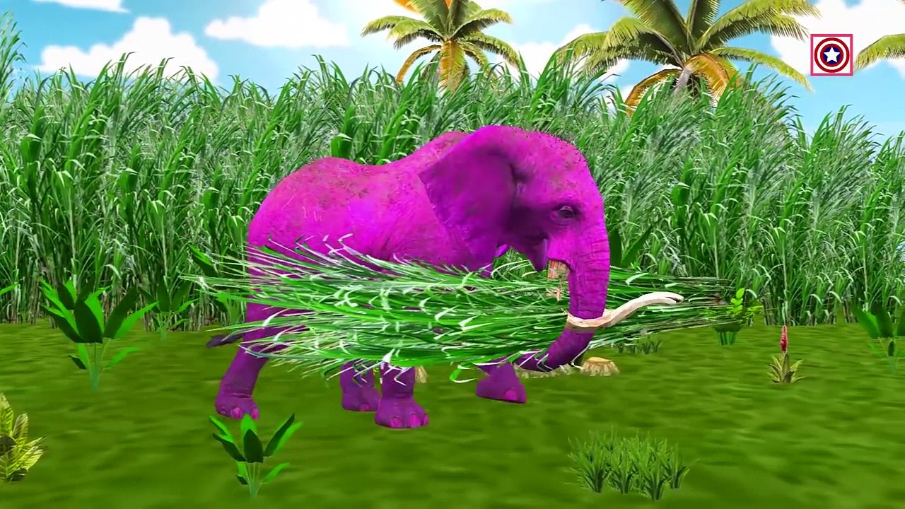 Elephant Finger Family | Crazy Elephant Singing Finger Family Rhymes | Animals Cartoon Finger Family