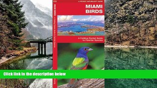 Big Sales  Miami Birds: A Folding Pocket Guide to Familiar Species (Pocket Naturalist Guide