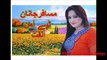 Pashto New Tape 2016 Amin Ulfat Arami Tapey 2016 Amin Ulfat 2016