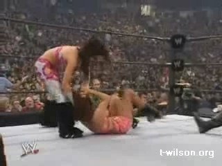 SummerSlam 2007: Divas Battle Royal