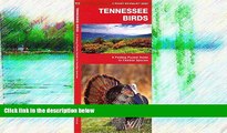 Deals in Books  Tennessee Birds: A Folding Pocket Guide to Familiar Species (Pocket Naturalist