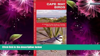 Big Sales  Cape May Birds: A Folding Pocket Guide to Familiar Species in Cape May County (Pocket