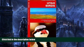 Deals in Books  Utah Birds: A Folding Pocket Guide to Familiar Species (Pocket Naturalist Guide