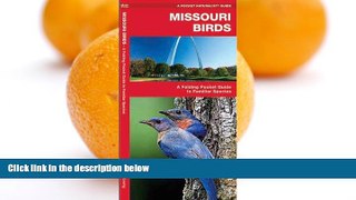 Big Sales  Missouri Birds: A Folding Pocket Guide to Familiar Species (Pocket Naturalist Guide