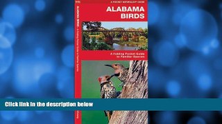 Big Sales  Alabama Birds: A Folding Pocket Guide to Familiar Species (Pocket Naturalist Guide
