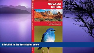 Big Sales  Nevada Birds: A Folding Pocket Guide to Familiar Species (Pocket Naturalist Guide