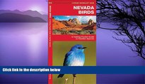 Big Sales  Nevada Birds: A Folding Pocket Guide to Familiar Species (Pocket Naturalist Guide