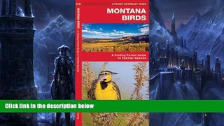 Buy NOW  Montana Birds: A Folding Pocket Guide to Familiar Species (Pocket Naturalist Guide