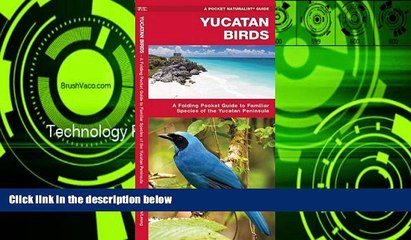 Deals in Books  Yucatan Birds (Pocket Naturalist Guide Series)  Premium Ebooks Online Ebooks