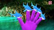 Finger Family Rhymes Shark Vs Dinosaur Family Children Nursery Rhymes | Dinosaurs For Children