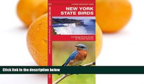 Buy NOW  New York State Birds: A Folding Pocket Guide to Familiar Species (Pocket Naturalist Guide