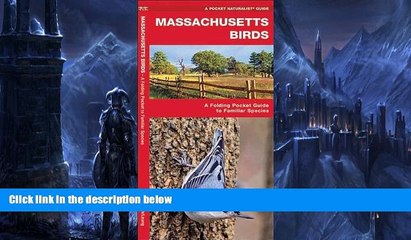 Deals in Books  Massachusetts Birds: A Folding Pocket Guide to Familiar Species (Pocket Naturalist