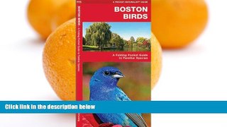 Deals in Books  Boston Birds: A Folding Pocket Guide to Familiar Species (Pocket Naturalist Guide