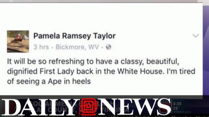 West Virginia Mayor & Ex-Non-Profit Boss Under Fire For Ape In Heels' Comment