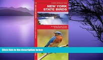 Buy NOW  New York State Birds: A Folding Pocket Guide to Familiar Species (Pocket Naturalist Guide