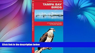 Deals in Books  Tampa Bay Birds: A Folding Pocket Guide to Familiar Species (Pocket Naturalist