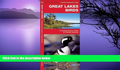 Buy NOW  Great Lakes Birds: A Folding Pocket Guide to Familiar Species (Pocket Naturalist Guide