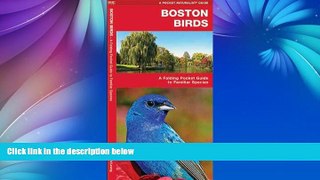 Buy NOW  Boston Birds: A Folding Pocket Guide to Familiar Species (Pocket Naturalist Guide