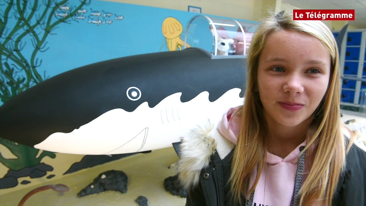 Saint-Pol-de-Léon (29). Une réplique à taille réelle du sous-marin requin de Tintin
