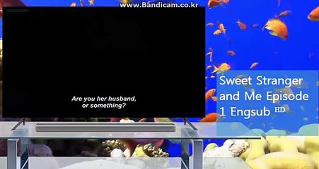 토토솔루션제작,바카라게임판매,토토솔루션판매,토토솔루션가격,토토솔루션소스 카톡,스카이프haricuty