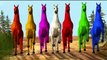 3D Horse Colours Songs | Horse Rhymes For Children | Colours Songs For Kids | Color Song