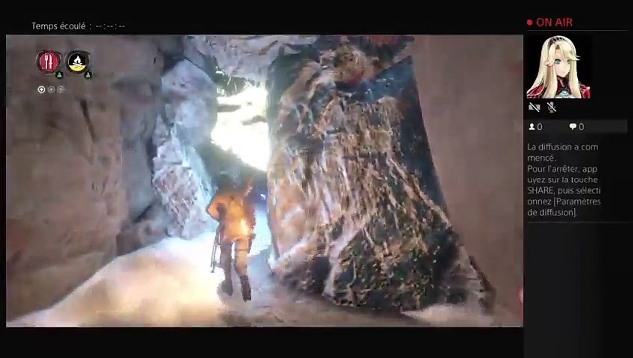 Tomb Raider (8)