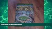 Big Sales  Cricket Grounds from the Air  Premium Ebooks Online Ebooks