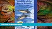 Deals in Books  Wildlife of the North Atlantic: A Cruising Guide (Bradt Travel Guide Wildlife of