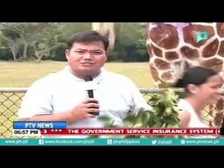 Mga Safari animals tampok sa Calauit island