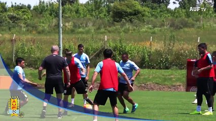 Mira el golazo que Luis Suárez anotó de una portería a otra