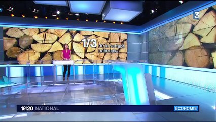 Préservation des forêts : comment sont-elles protégées en France ?