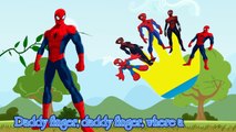 #Finger Family Spiderman | Spider Man Finger Family Songs | Kids Songs | Popular Nursery Rhymes
