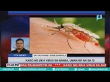Kaso ng Zika virus sa bansa umakyat na sa 12