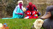 Frozen Elsa Pink Spidergirl w Spiderbaby Twins SpiderElsa Spiderman Finding Dory Joker Superheroes