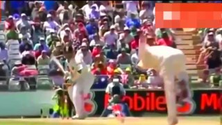 Top 7 Funniest Sixes In Cricket History Never Seen Before