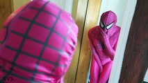 Spiderman Becomes PINK SPIDERMAN w/ Frozen Elsa vs Joker Girl vs Joker & Mermaids - Superhero Fun