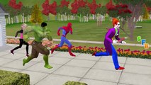 Spiderman Hulk Frozen Elsa Cake Donut Birthday Party | Funny Joker Pranks | Spiderman Vs Joker
