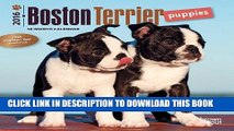 [PDF] Boston Terrier Puppies 2016 Mini 7x7 Full Online