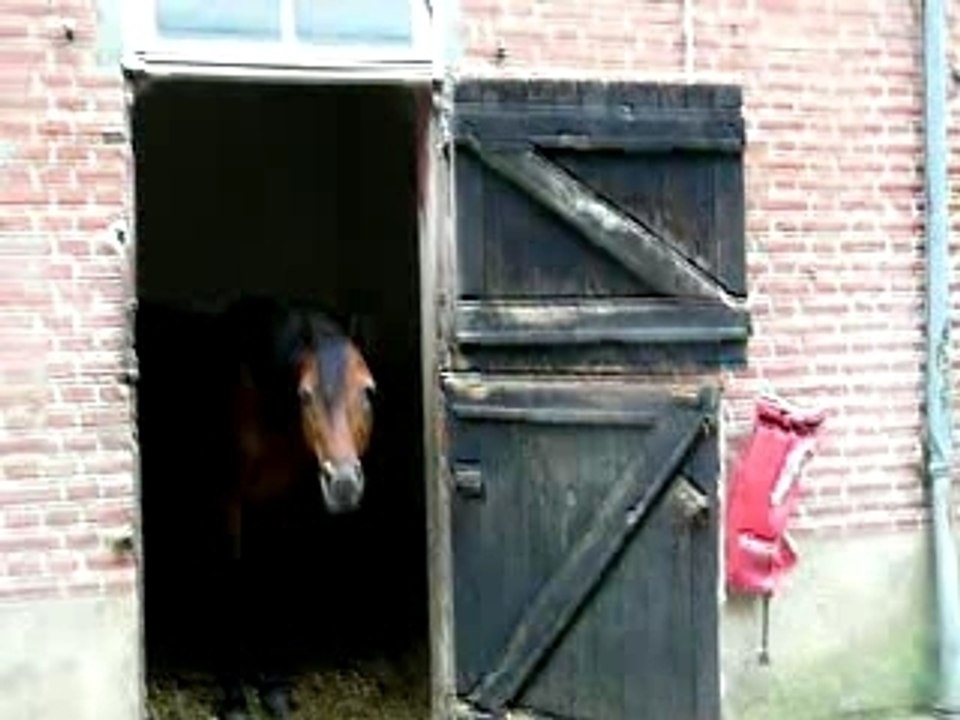 prince box gratouilles