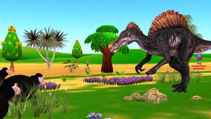 Download Video: Surprise Eggs Opening Dinosaur Eggs Finger Family | Dinosaurs Fighting Movie | Dinosaurs Cartoons